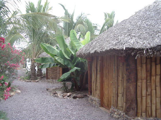 Casitas.jpg
