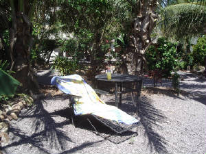 DrinksintheGarden.jpg