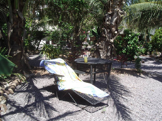 DrinksintheGarden.jpg