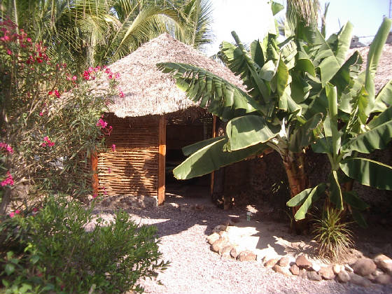 Palocasita.jpg