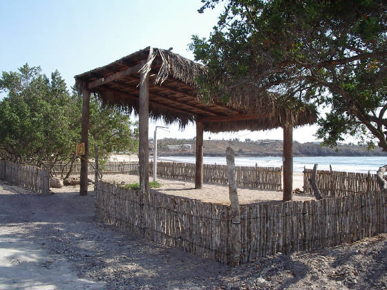 beachpalap.jpg