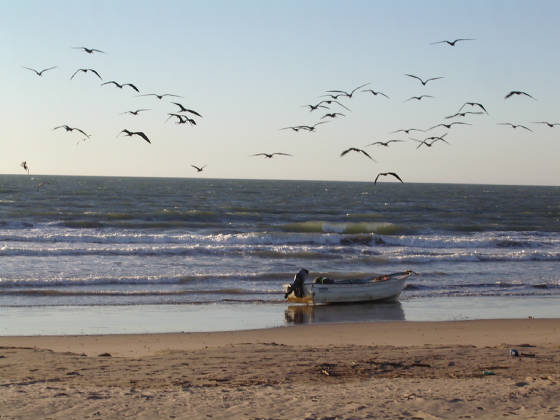 fisherman1.jpg