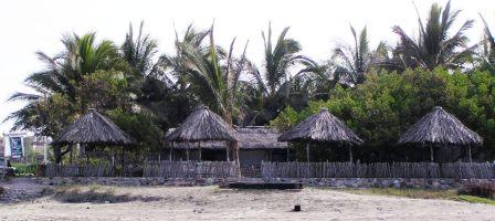 BeachPalapasInternet.jpg
