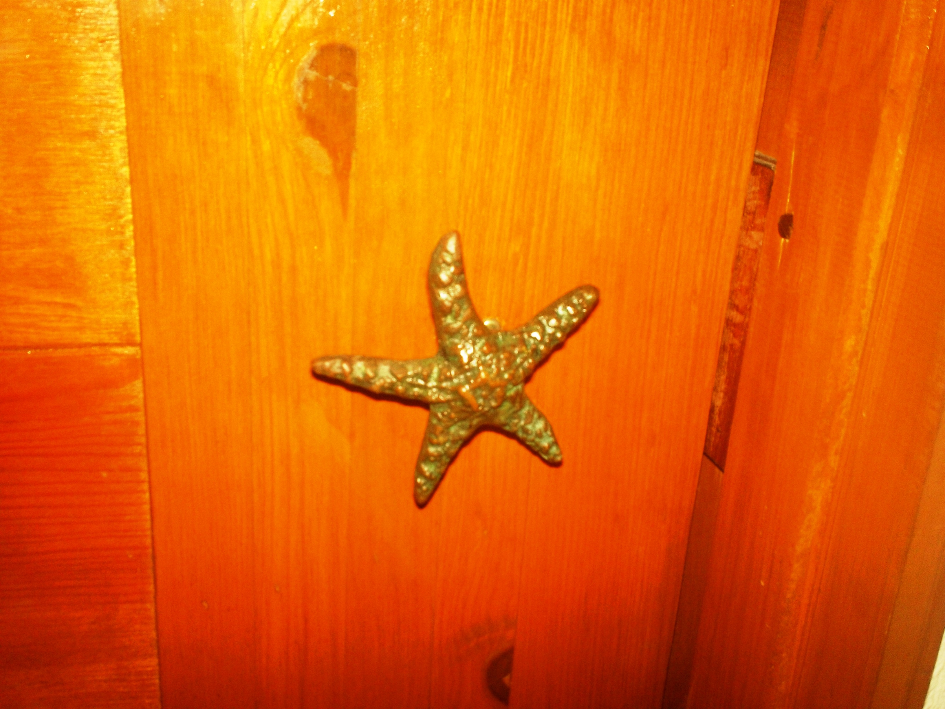 JardinStarfish.JPG